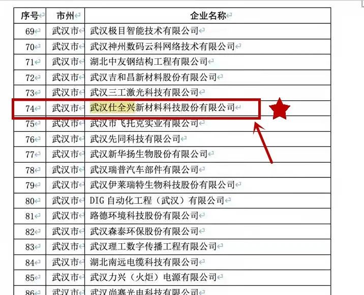 武漢仕全興入選湖北省專精特新小巨人企業(yè)